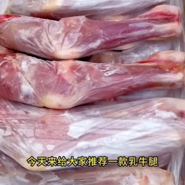 乳牛腿40斤/箱，12条装，烧烤卤炖皆宜！