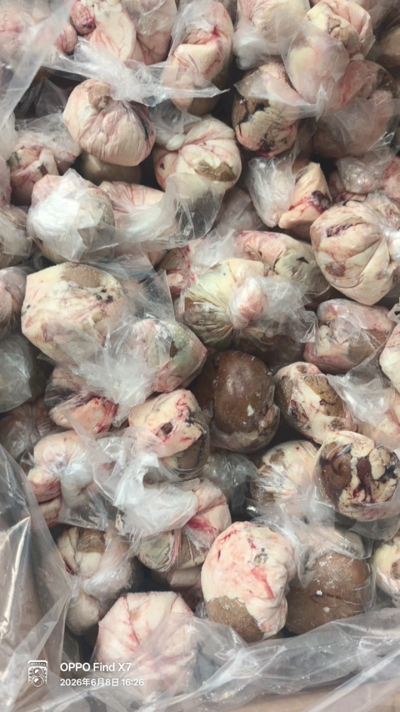 特价原油羊腰子，一件四十斤，嘎嘎便宜！