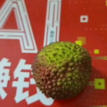 妃子笑荔枝