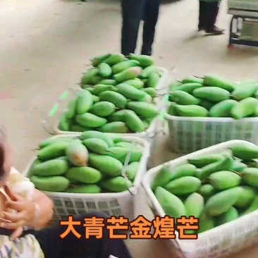 云南大青芒金煌芒小公果芒工厂芒榨汁切片芒果新鲜采摘口袋果