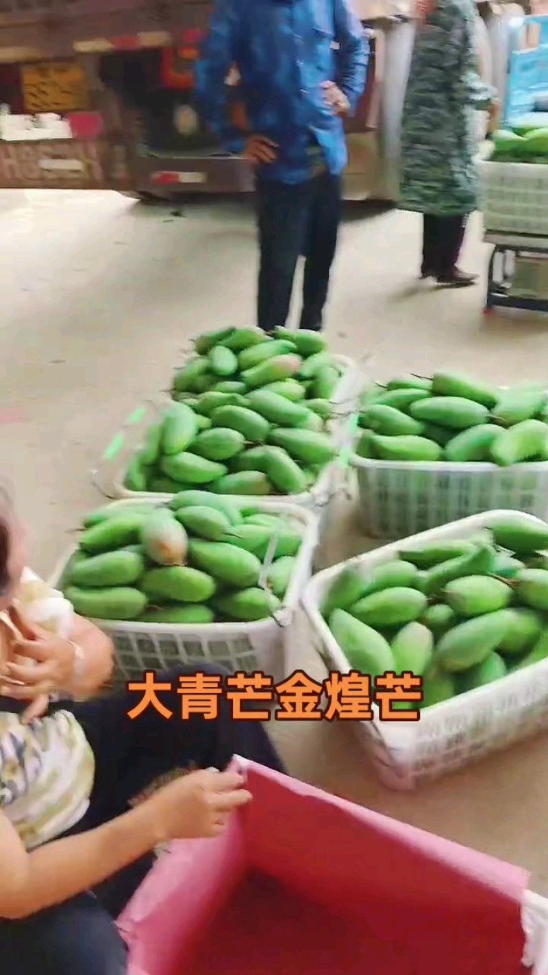 云南大青芒金煌芒小公果芒工厂芒榨汁切片芒果新鲜采摘口袋果
