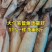 【推荐】单冻笔管鱼对接全国可视频看货欢迎下单咨询