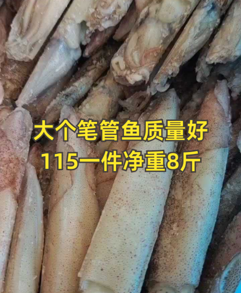 【推荐】单冻笔管鱼对接全国可视频看货欢迎下单咨询