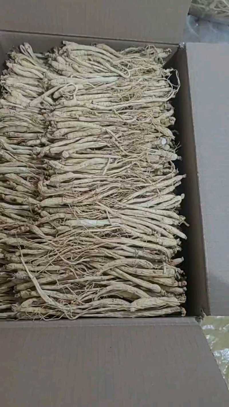 精选白参-产地直营-价格优惠规格齐全参地一发长年有货