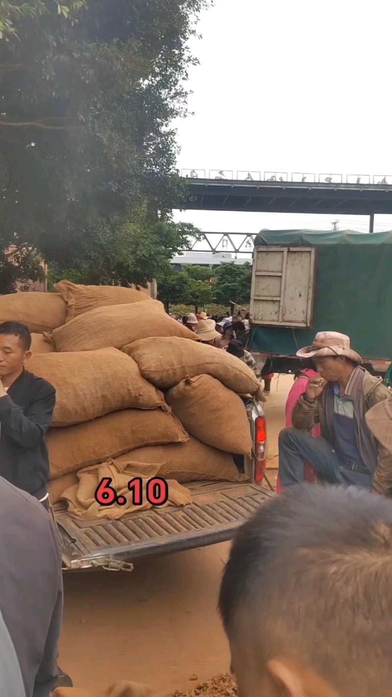 七米山新鲜三七根云南文山田七根根煲汤生三七根须带泥发货