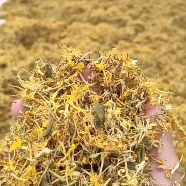 贵州安龙野生金银花，百分之七八十开花，晒花，无硫