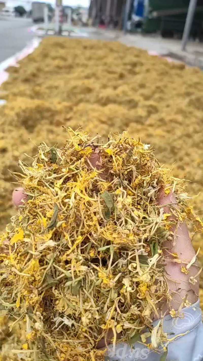 贵州安龙野生金银花，百分之七八十开花，晒花，无硫