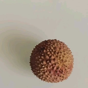 桂味果中**味道杠杠的