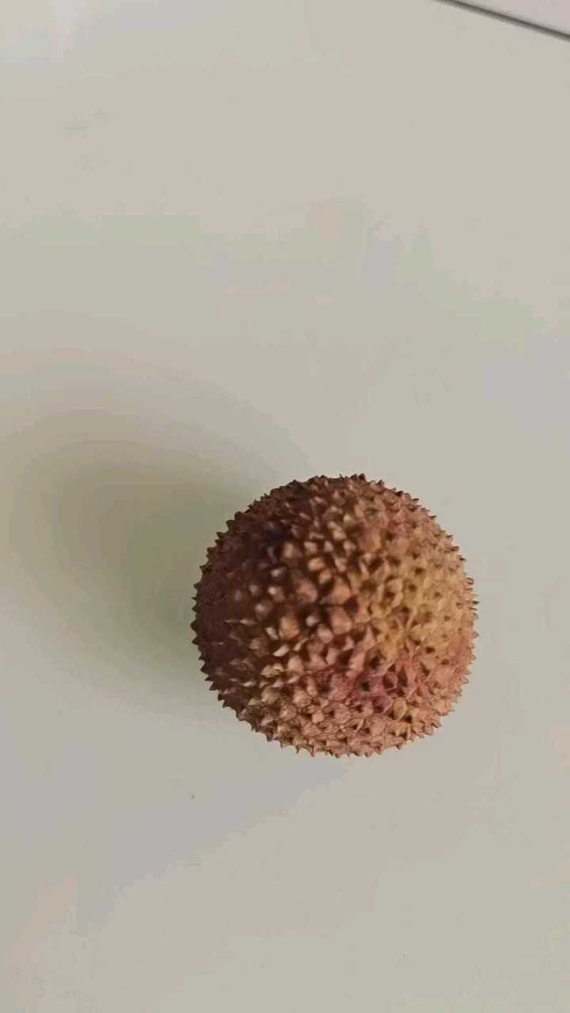 桂味果中**味道杠杠的