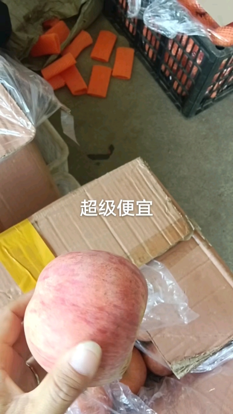 山东淄博沂源产区红富士苹果口感脆甜多汁颜色鲜艳