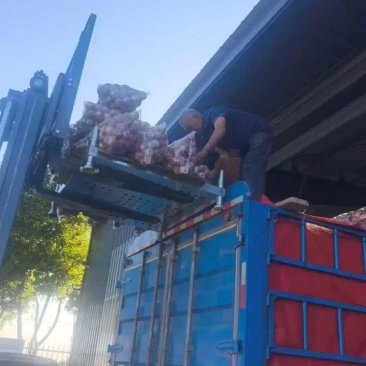 万荣秦冠苹果发江苏，60果6毛5上车！