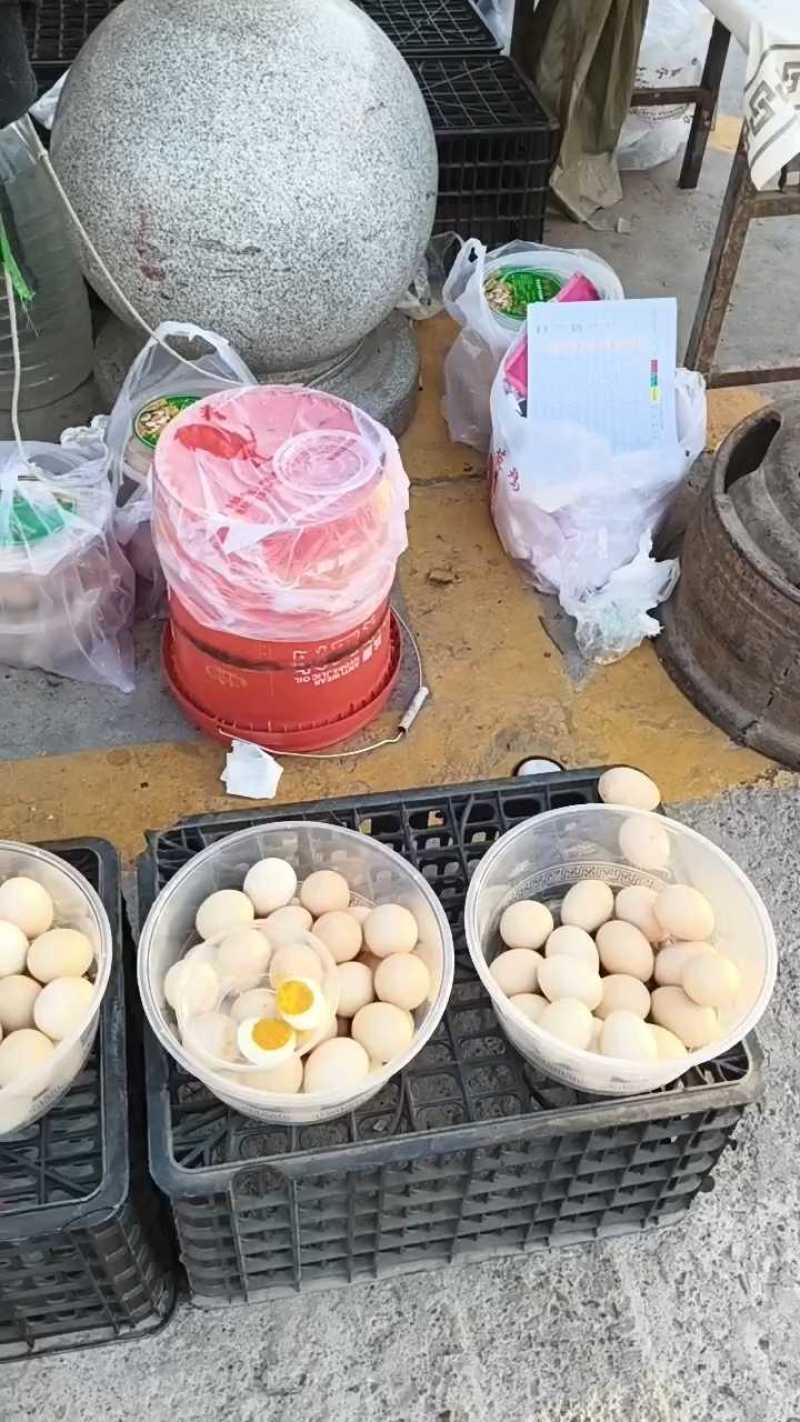 宁夏盐池农家散养土鸡蛋现捡新鲜蛋黄软糯无饲料