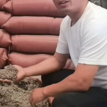 棉籽壳食用菌原料木耳平菇蘑菇栽培菌包原料一件起发