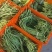 豆角豇豆长豆角豇豆长豇豆红豆角东台长豆