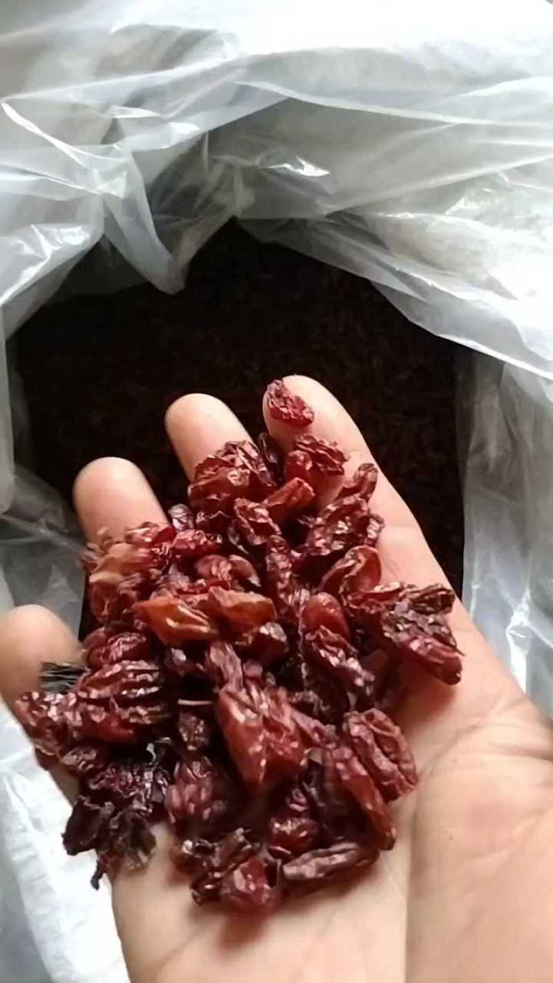陕西山茱萸，山萸肉颜色好无籽干度好，可以泡酒也可以做药。