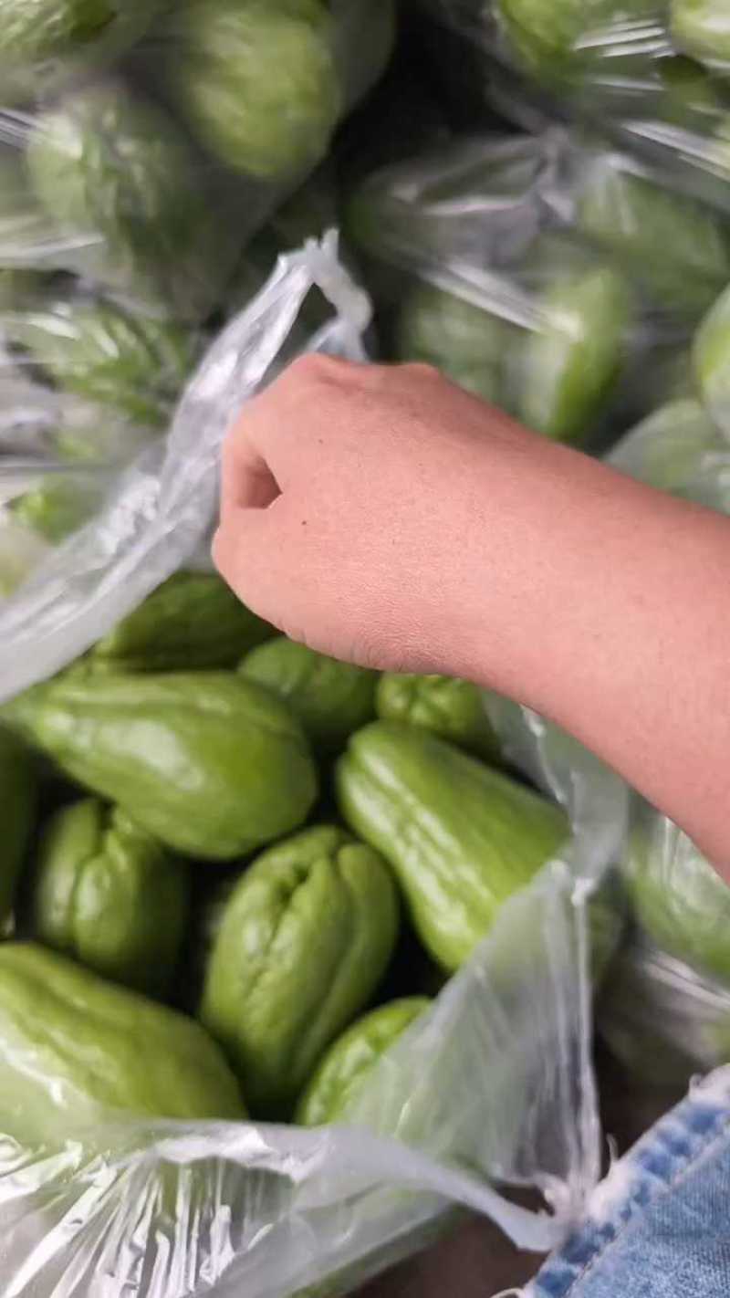 云南精品佛手瓜品质保证货源充足产地装车量大从优