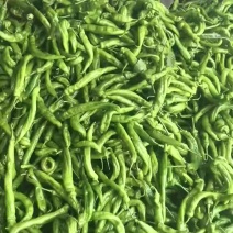 精品大螺丝有货，刚上新！