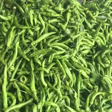 精品大螺丝有货，刚上新！