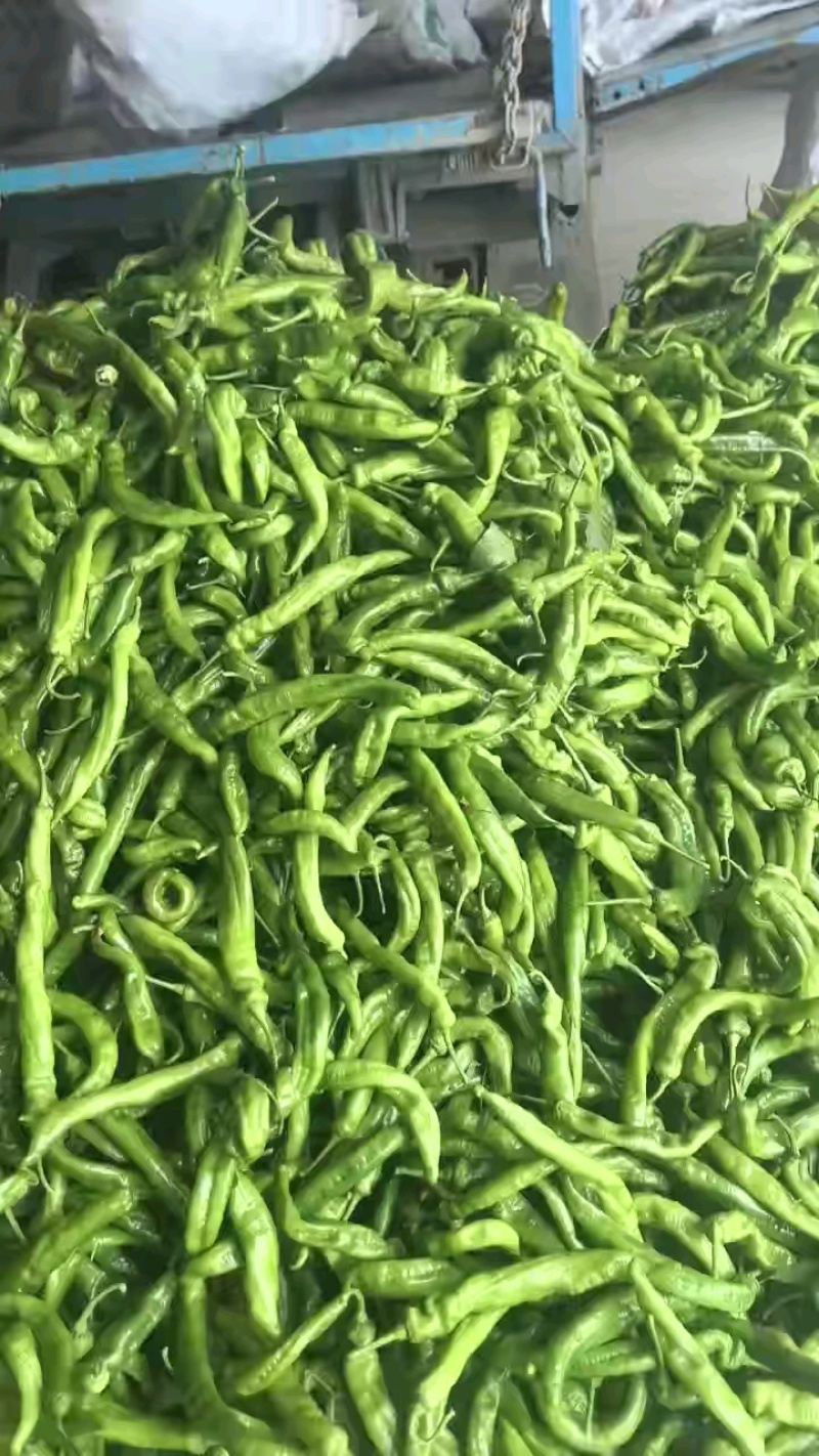 精品大螺丝有货，刚上新！