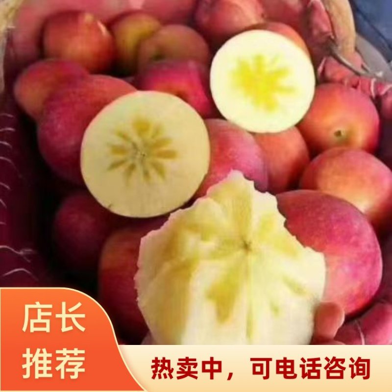 新疆阿克苏温宿县冰糖心苹果高次果/二级果各种规格都有