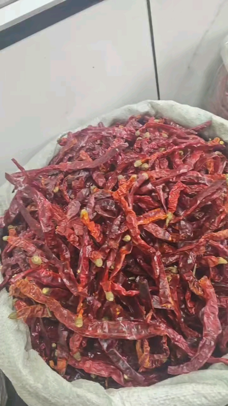 二荆条，一手货源，支持视频看货大宗批发可提供食品安全检