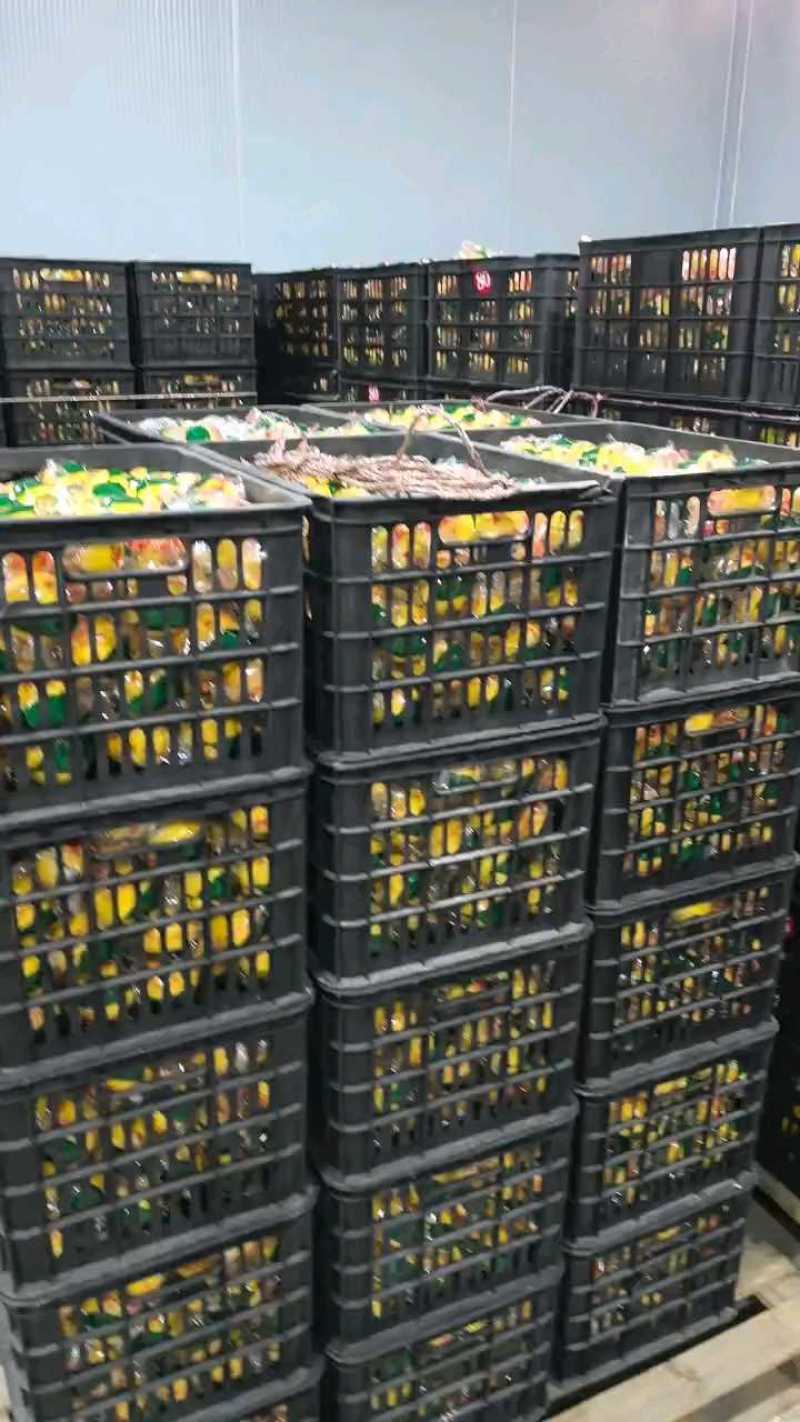 黄金贡柚一块多，口感不错走量慢。