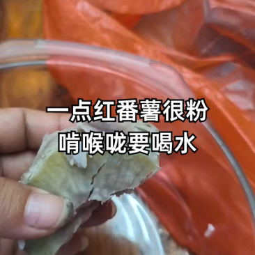 一点红阳江海边沙地红薯粉糯香甜原生态包邮