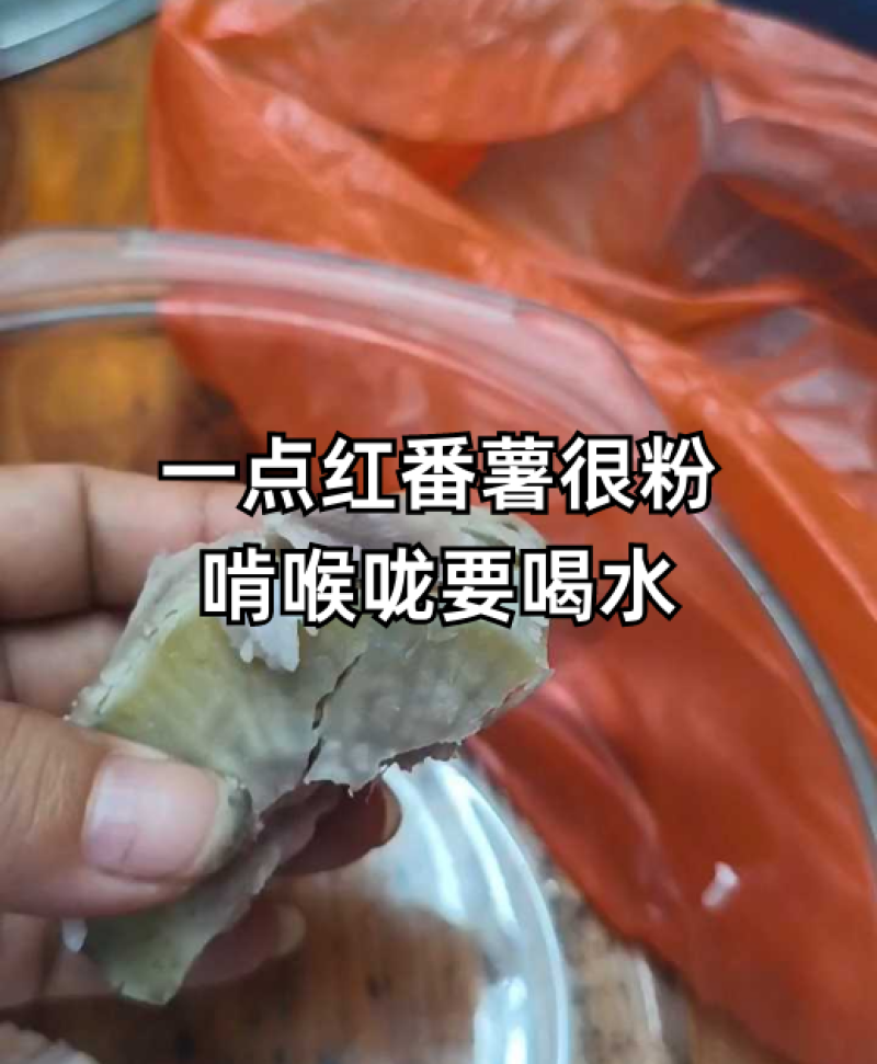 一点红阳江海边沙地红薯粉糯香甜原生态包邮