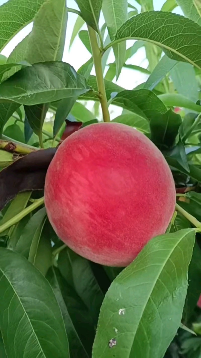 突围