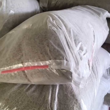 山东济宁红薯碎粉条，50斤装，有货！