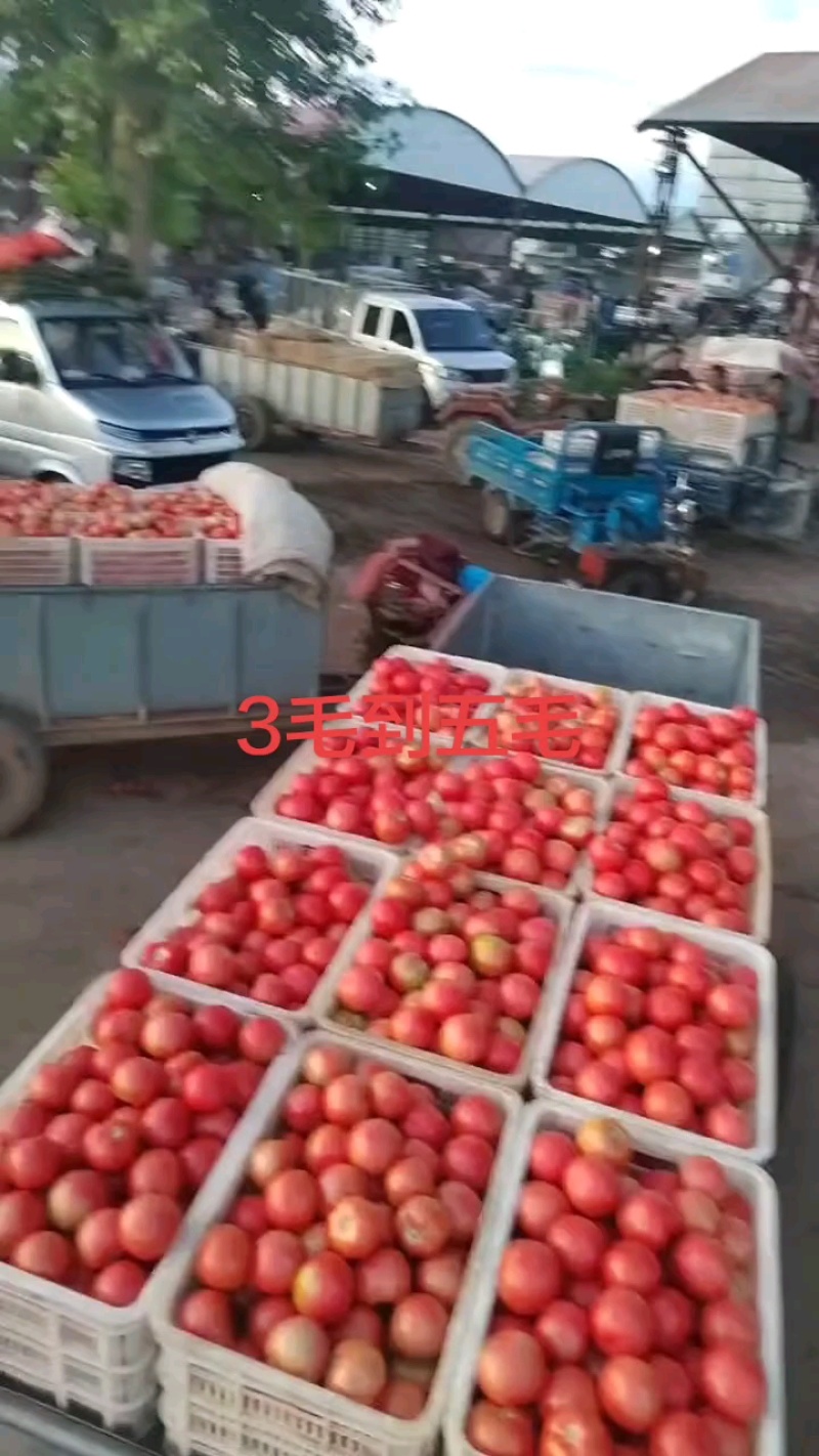 三毛到五毛，货量充足！