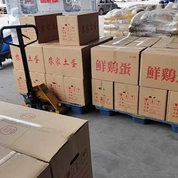 湖北精品散养土鸡蛋/量大价优/鸡场供货/破损包赔