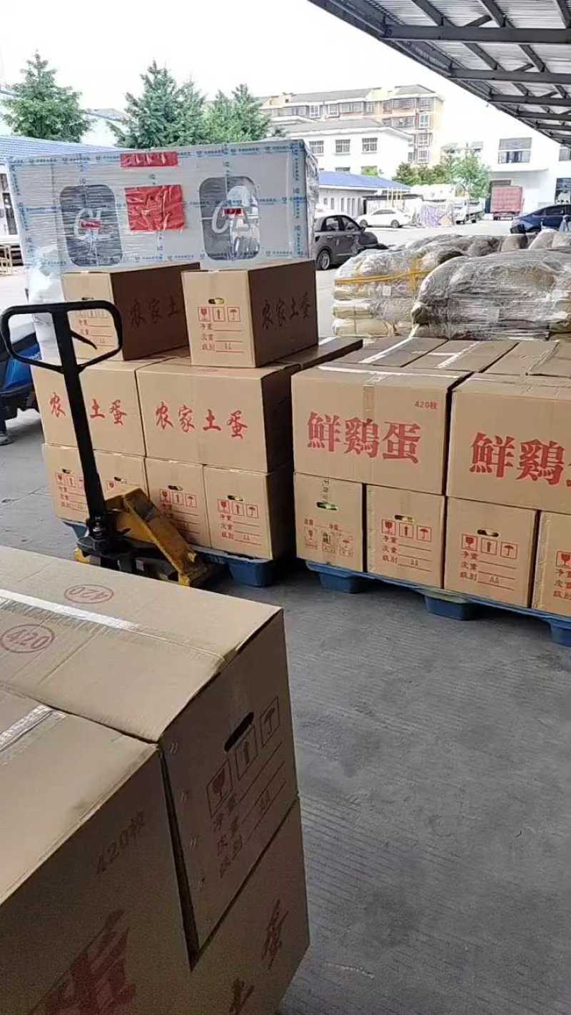 湖北精品散养土鸡蛋/量大价优/鸡场供货/破损包赔