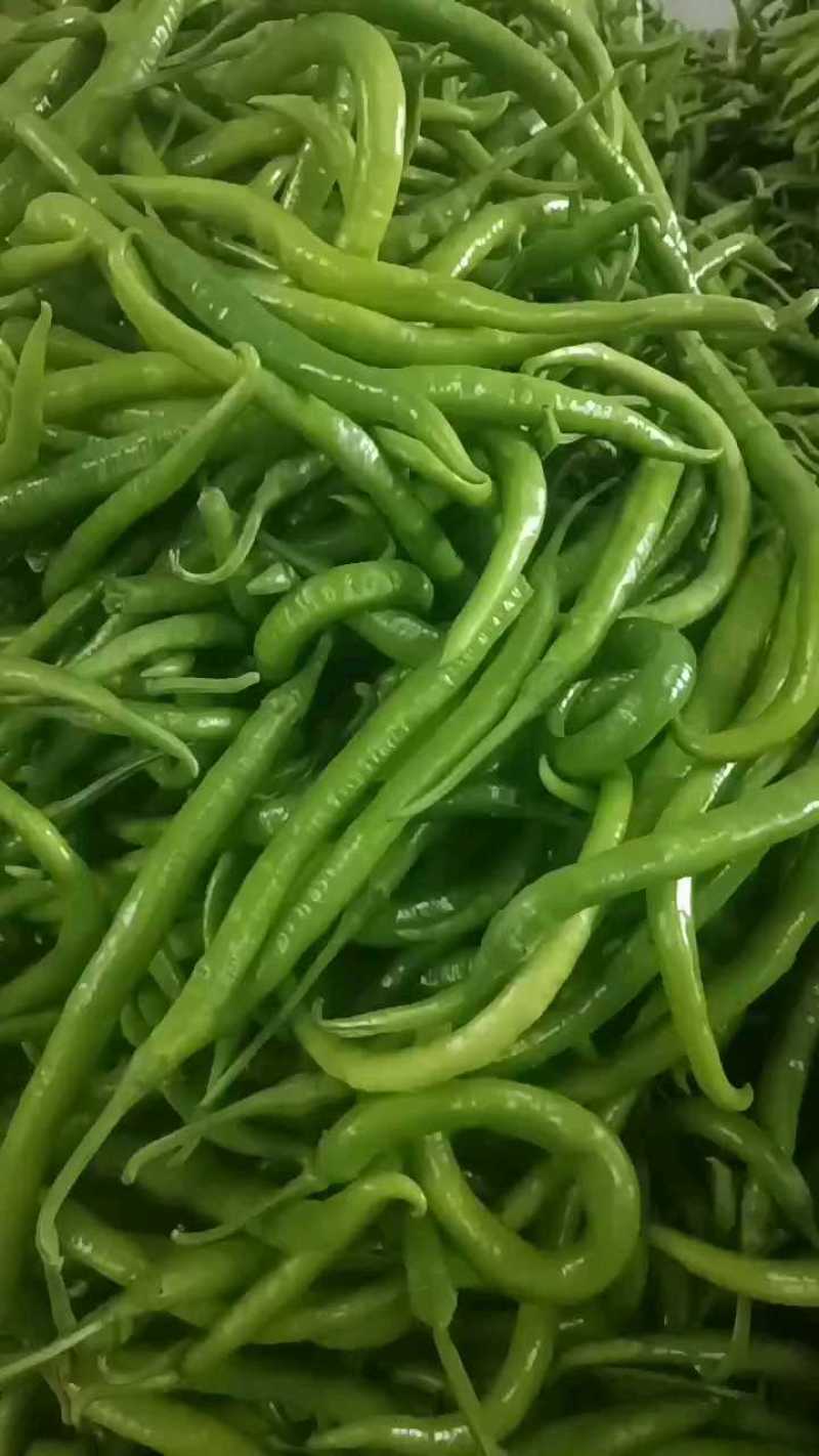 青线椒，通货清线流，电商货，工厂货
