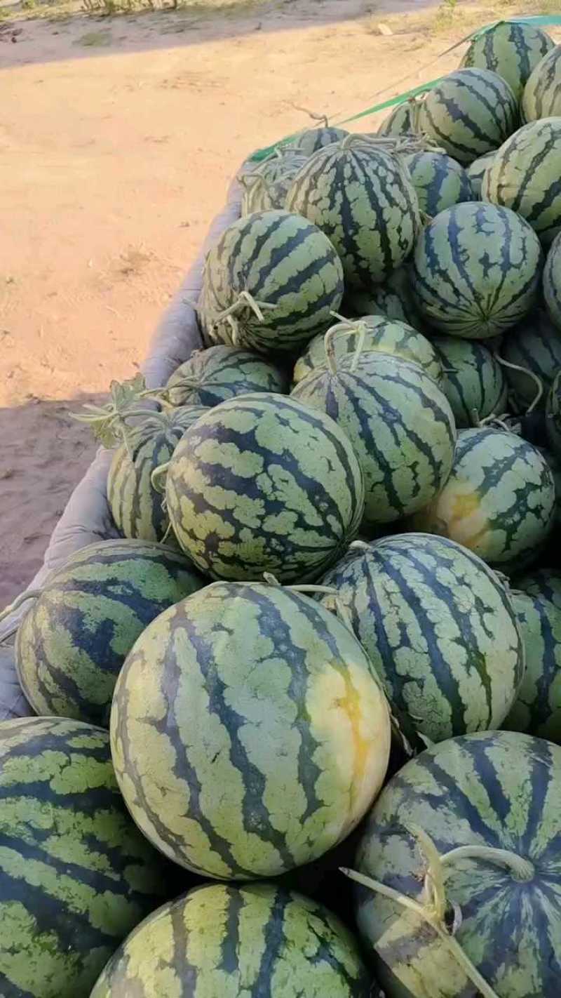 开封祥符区，精品美都西瓜大量上市诚信经营欢迎合作
