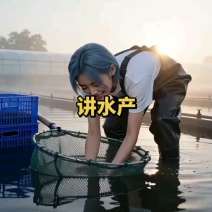龙虾苗养殖场地直发淡水优质鲜活种抱籽