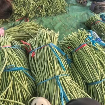 豆角一块钱，品质好，货量足。