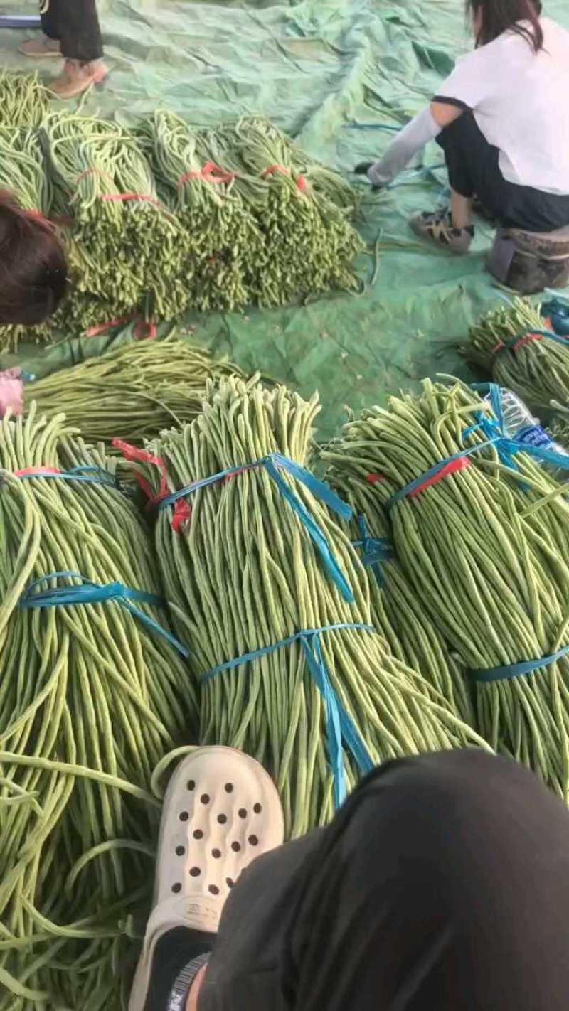 豆角一块钱，品质好，货量足。