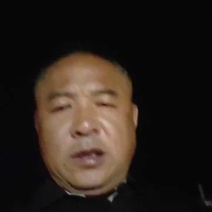 油桃，红皮黄肉48麻油桃，对接外贸，批发市场，电商，商超