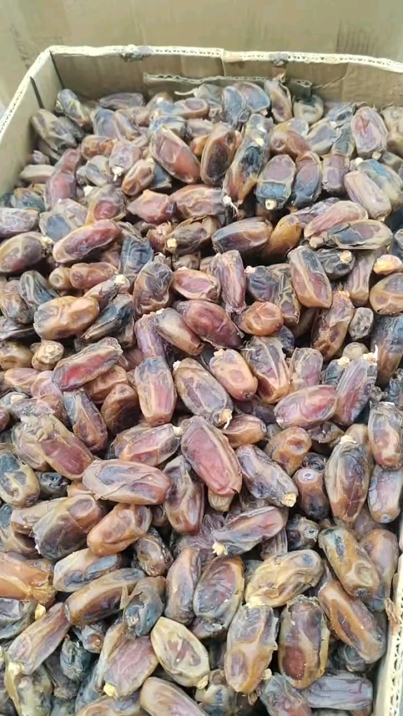 （优选）伊朗黑椰枣，一手货源电商专用整车批发支持一件代发