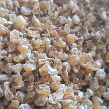薤白春雨药材批发各种规格中药材质量保证量大从优