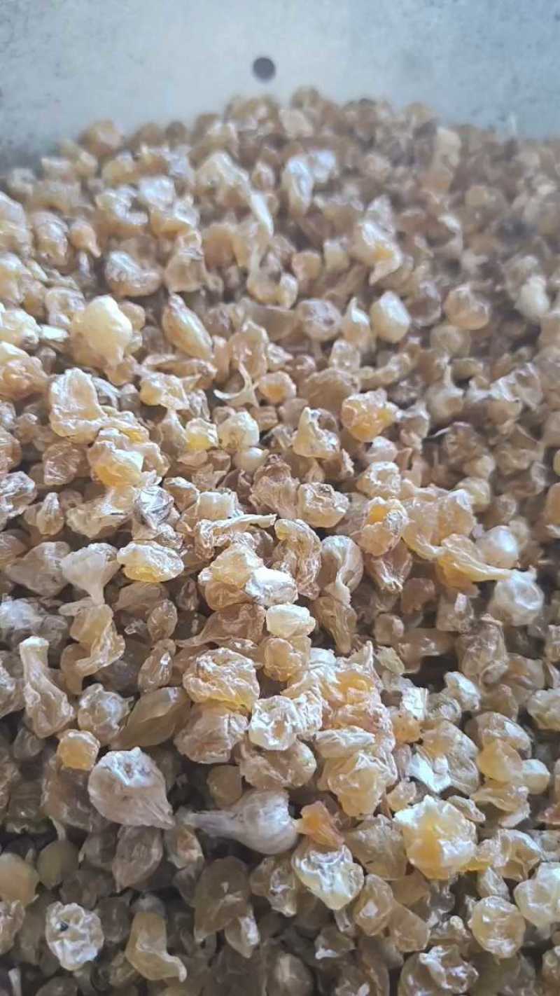 薤白春雨药材批发各种规格中药材质量保证量大从优