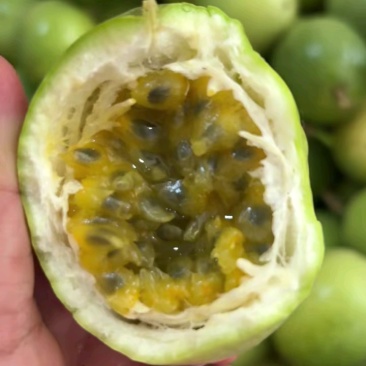 正宗钦蜜9号百香果产地直发一件代发货源充足