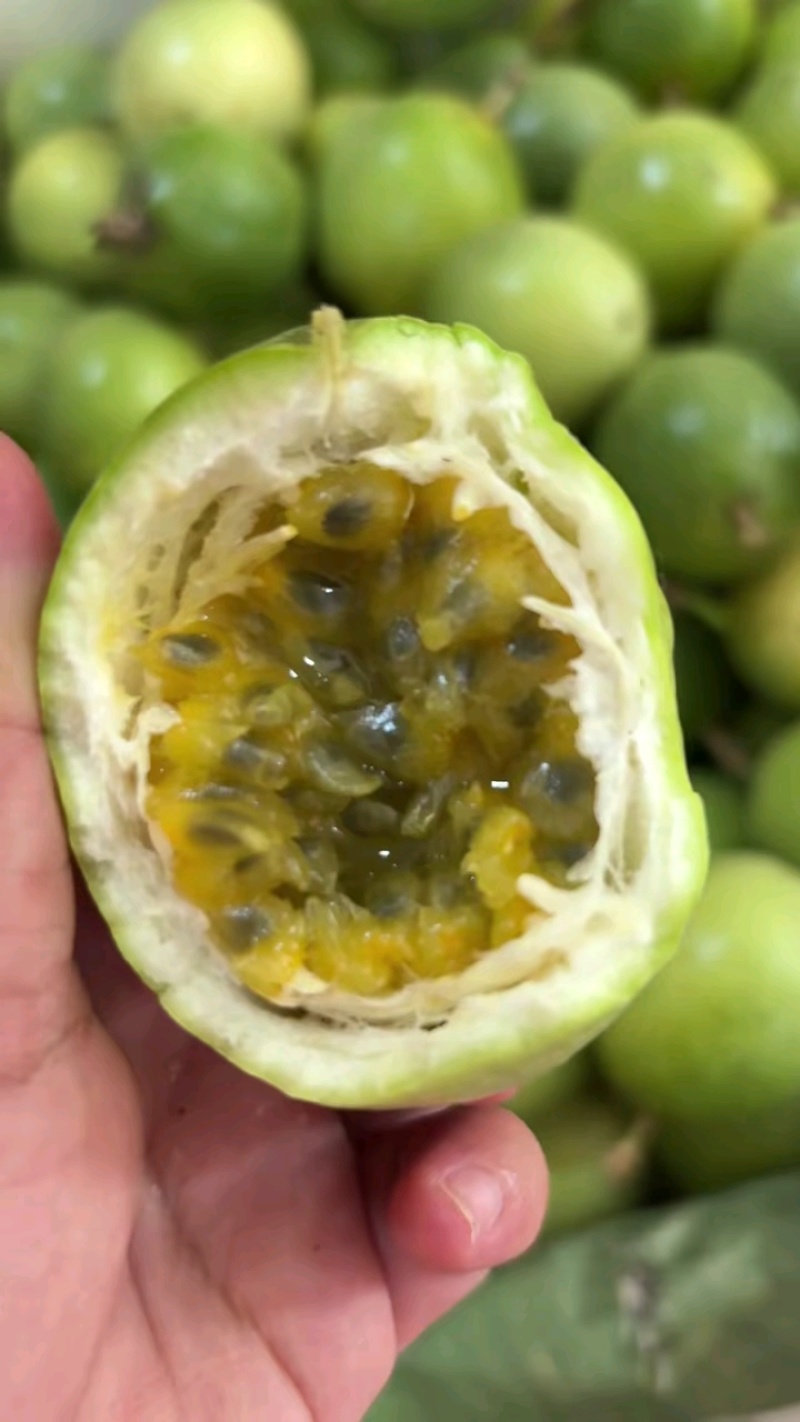 正宗钦蜜9号百香果产地直发一件代发货源充足
