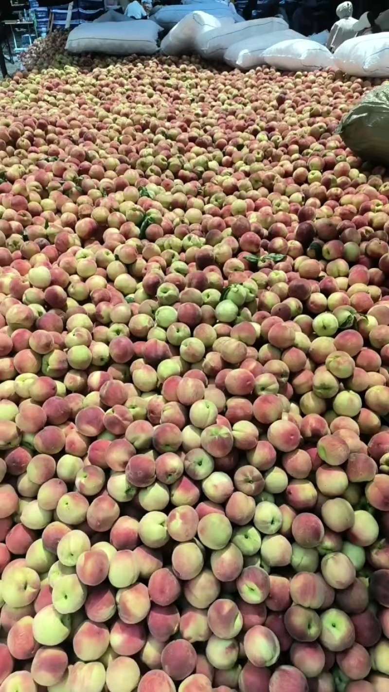 精品毛桃6万斤，量大装车中！