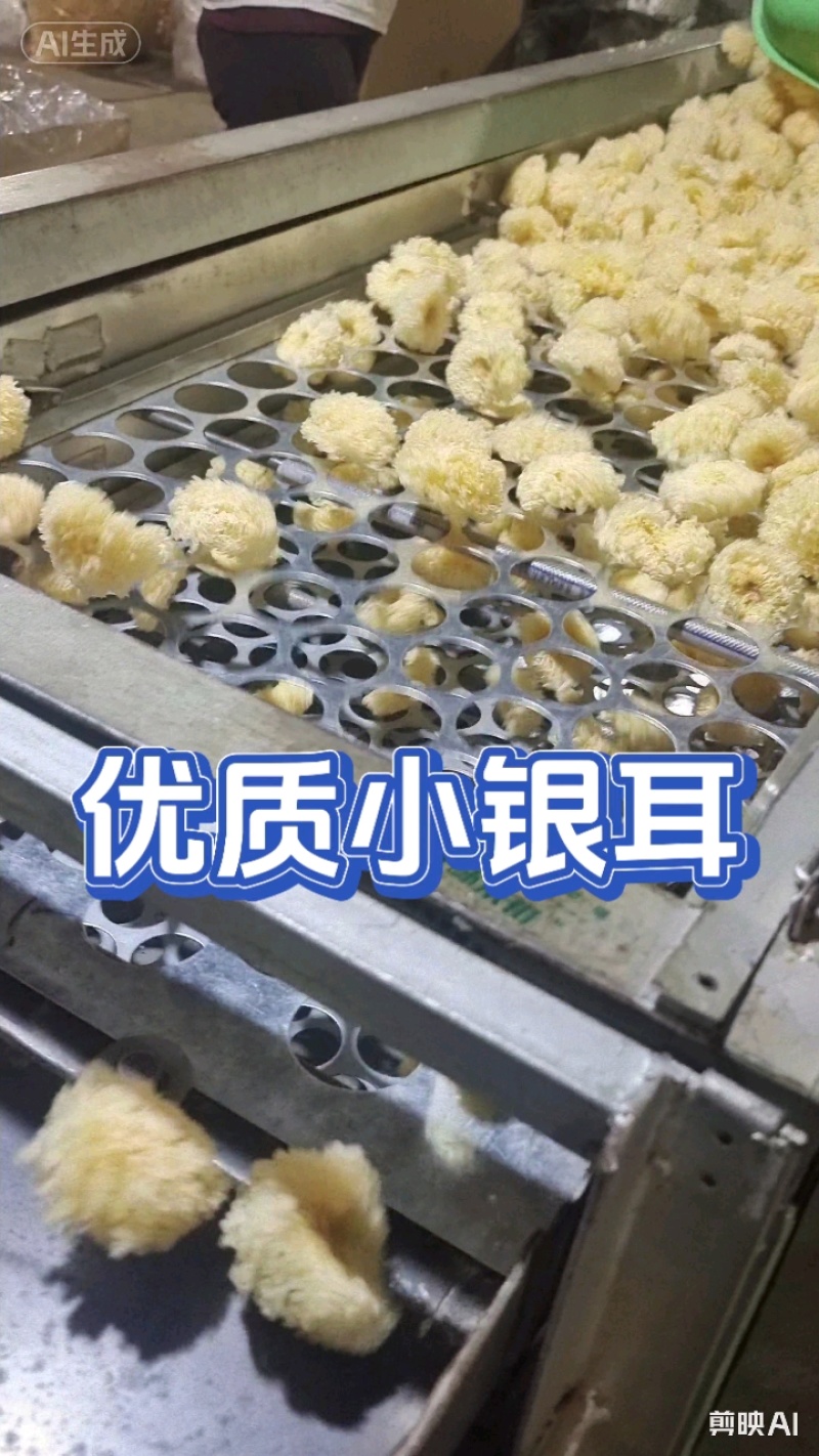 椴木银耳银耳椴木小银耳各种规格齐全电商货源软糯