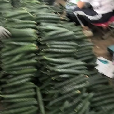 价格便宜，需要的联系。