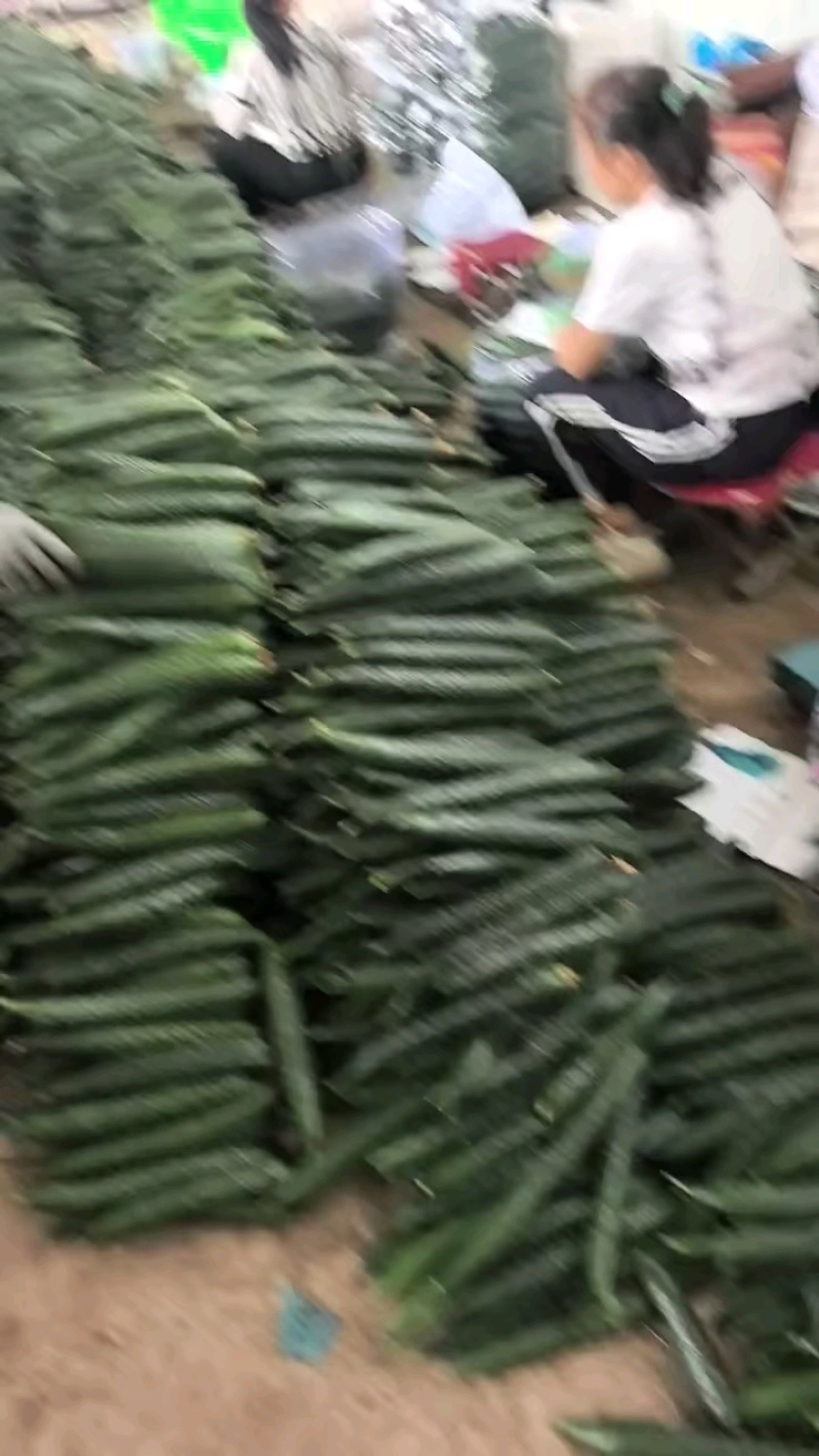 价格便宜，需要的联系。