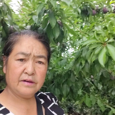正当大量上市，货量充足快来抢！
