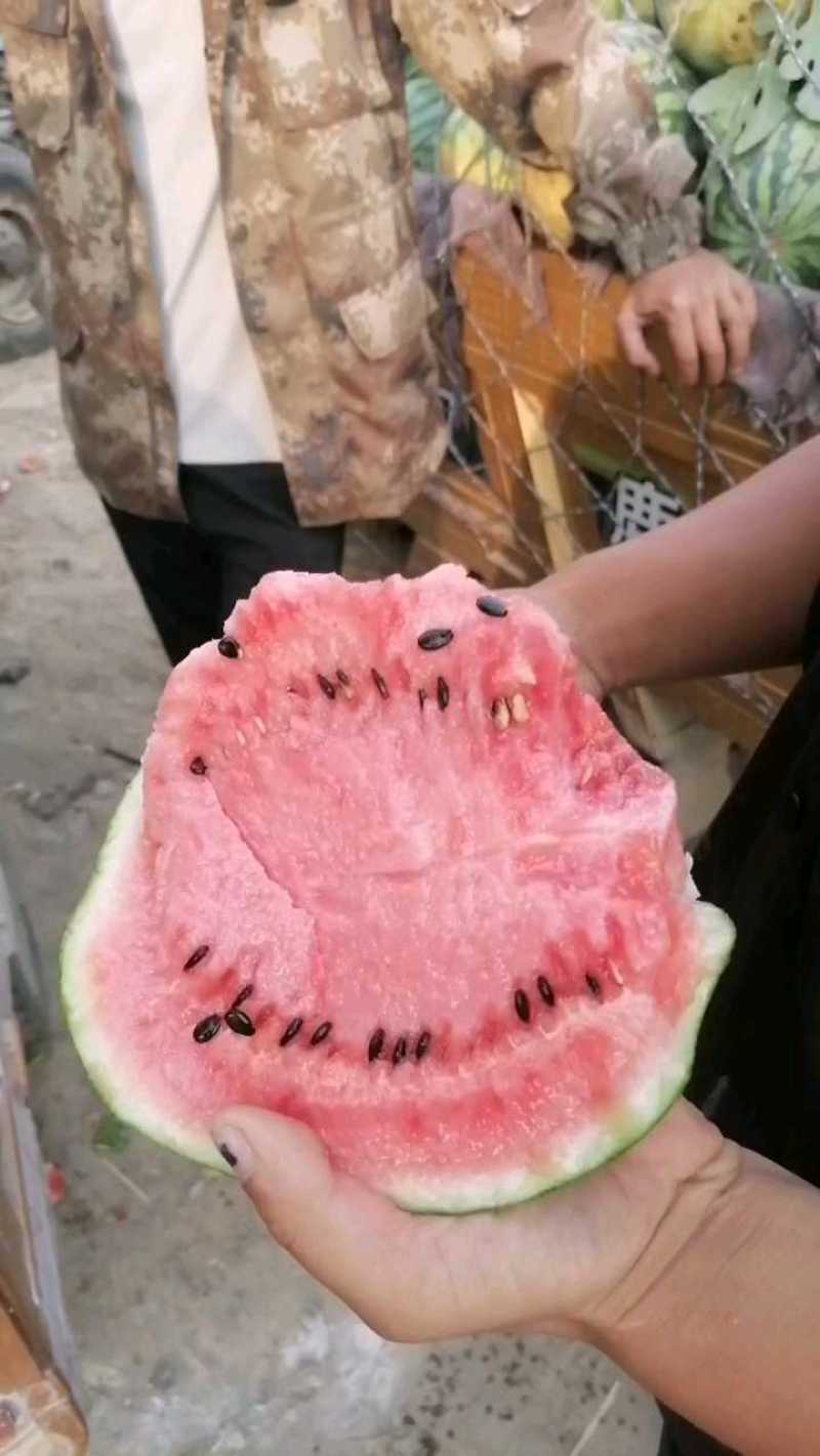 美都西瓜5斤起步瓜